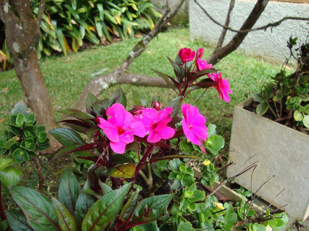 Sonho Verde Guest House Campos do Jordão エクステリア 写真